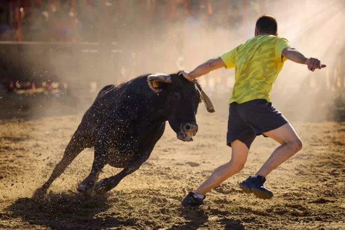 Ribes, Gustavo: Mucca