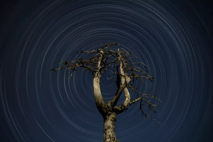 Kresal, Gregor: Space tuning fork