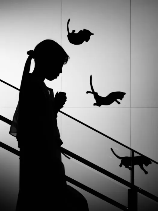 Komai, Kazuhiro: Con un gatto