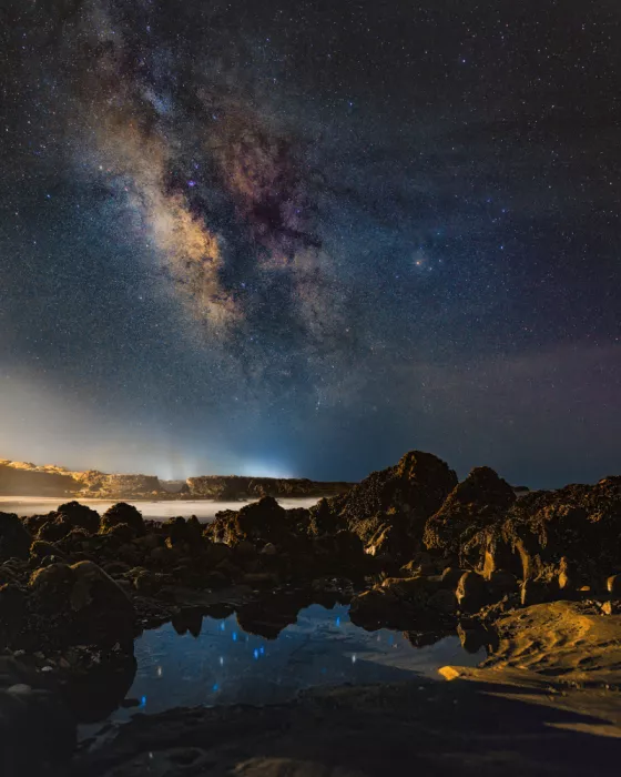 Li, Bruce: Night Seascape