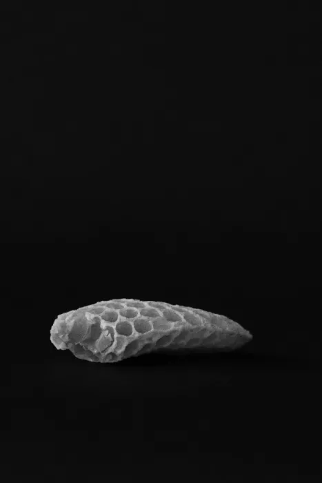Colligan, Lynann: Armonia esagonale n. 2