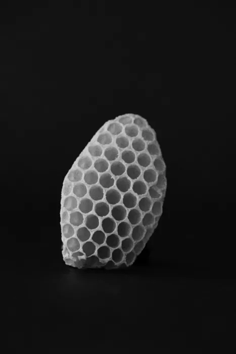 Colligan, Lynann: Harmonie Hexagonale n° 3