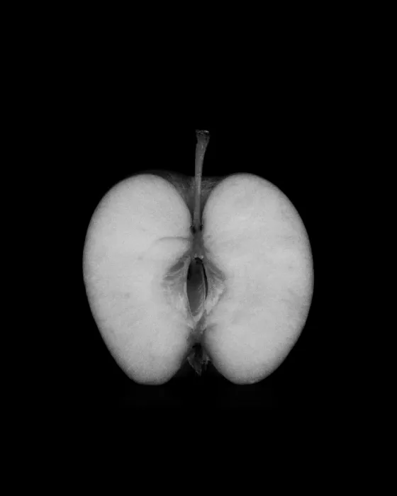 Colligan, Lynann: Monochromer Kern
