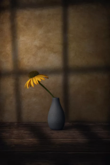 Klavs, Marko: Forget Me Now