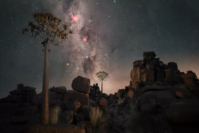 Chander, Vikas: Southern Skies Quivers