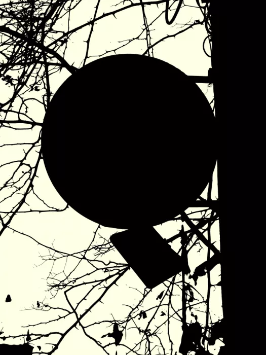Strnad, Petr: Silhouette Branches