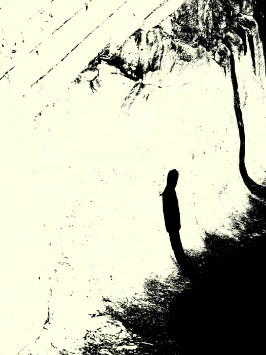 Strnad, Petr: Shadowed Silence
