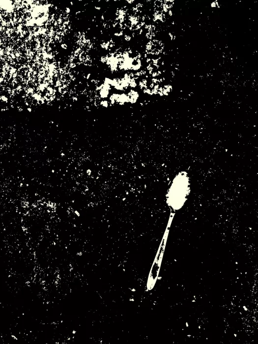 Strnad, Petr: Lost in Monochrome