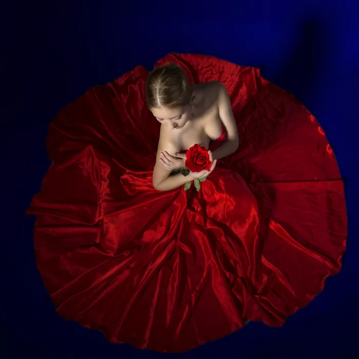 Onofras, Ionel: The rose rondel
