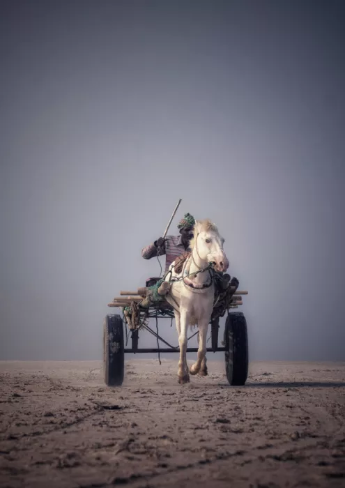 Majid, Washiful: Horse riding
