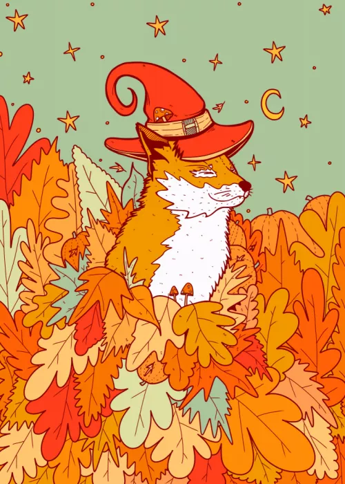 Wade, Stephen: Le renard du magicien