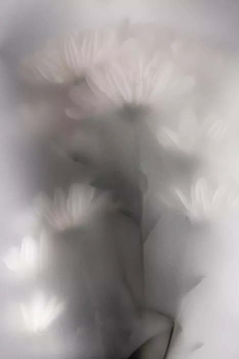 Böhmer, Mareike: Fleurs floues 4