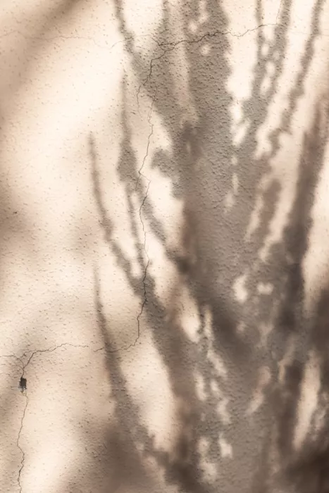 Böhmer, Mareike: Ombres d