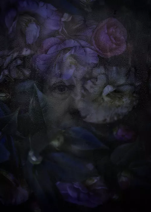 Depaola, Mia: Hide III