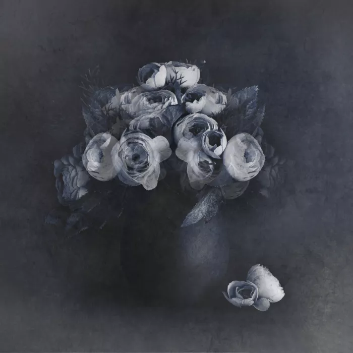 Kiral, Cicek: Fading Away