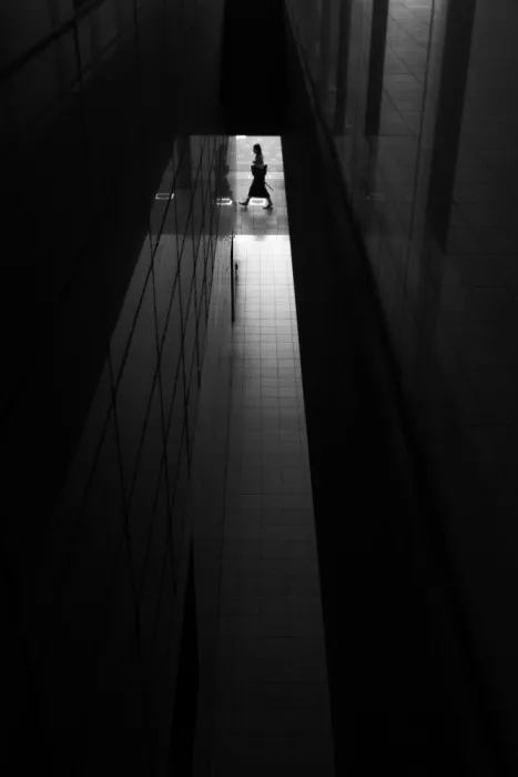 ISHIKAWA, HISASHI: Silhouette