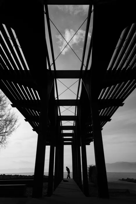 AK, Seray: Walking in line