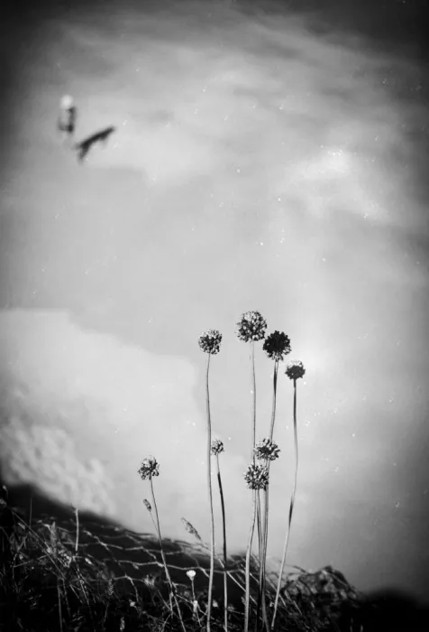 Seita, Milena: Sea Above, Sky Below