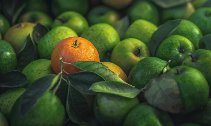 DDiArte: Arancione
