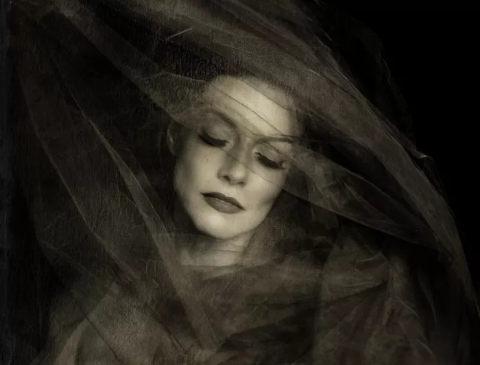 Pansky, Rachel: The veil.
