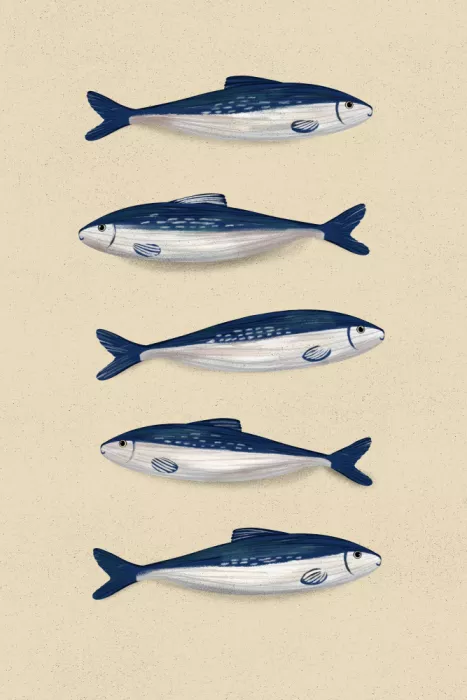 EMELIEmaria: Sardines