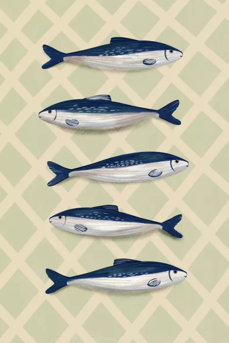 EMELIEmaria: Sardines