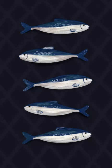EMELIEmaria: Sardines