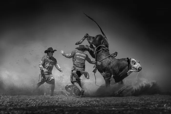Wu, Irene: Unyielding Rodeo