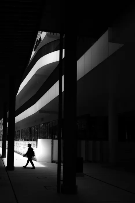ISHIKAWA, HISASHI: Silhouette