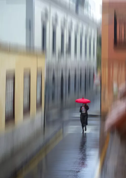 Alviani, Montserrat: Through the Rain