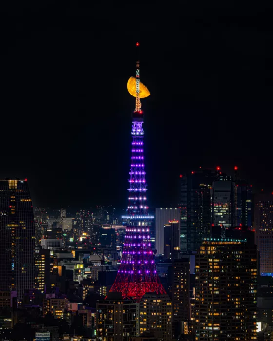 Kuong, Nazca: Eine Nacht in Tokio