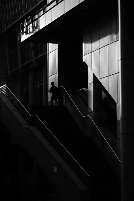 Komai, Kazuhiro: Nella luce riflessa