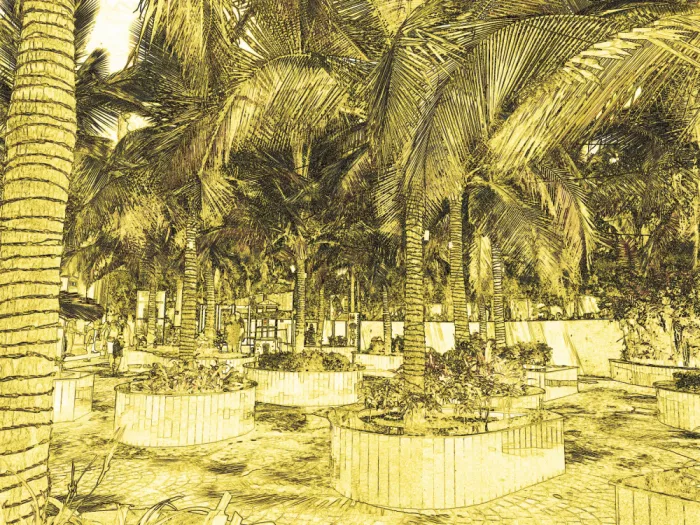 ch, Santhosh: Haven Palmée Dorée