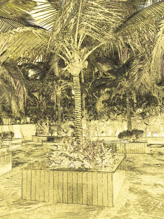 ch, Santhosh: Tropical Tranquility