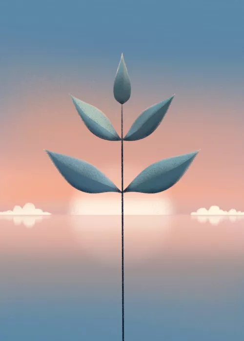 Roze, Fadil: Growth In Silence
