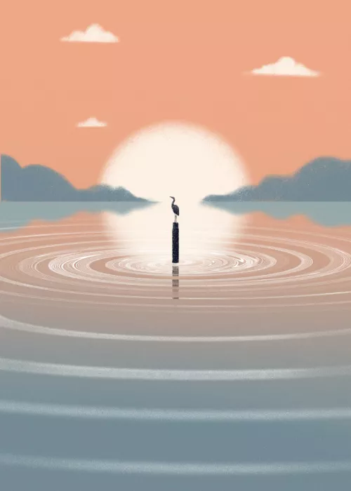 Roze, Fadil: Still Waters