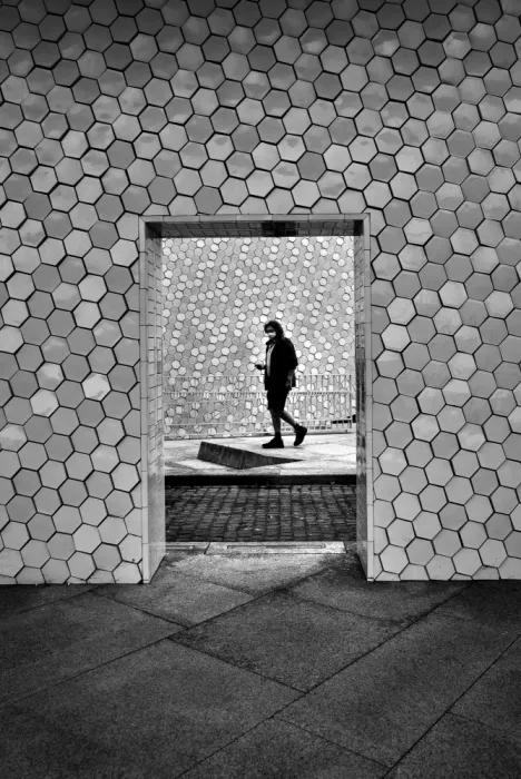 Suzano, Augusto José: Framed
