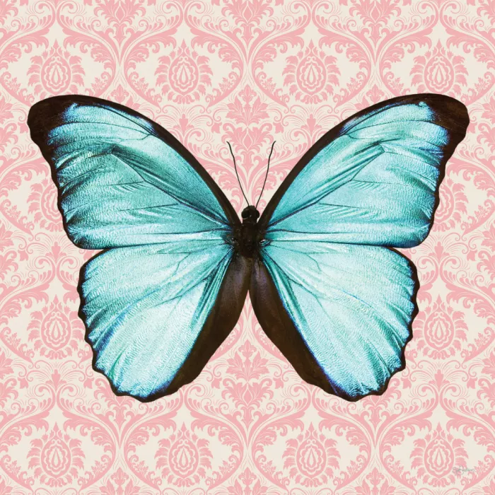 Skellern, Sue: Wunderschöner Schmetterling #1