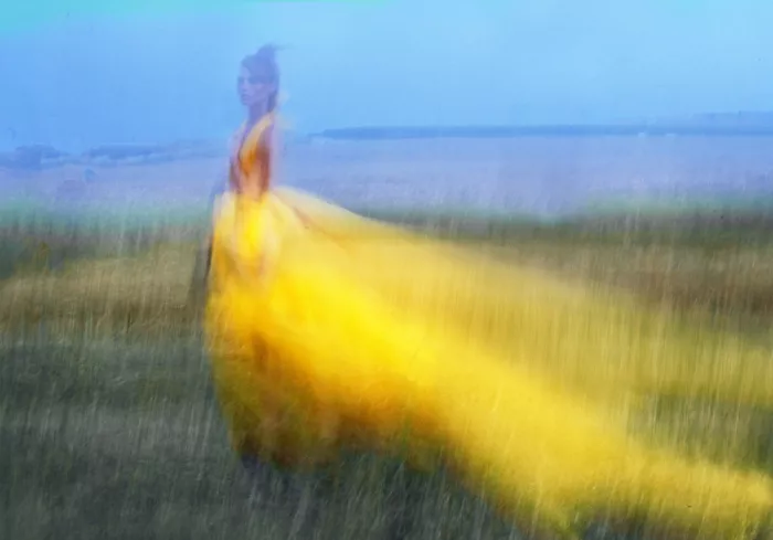Pansky, Rachel: Sin título