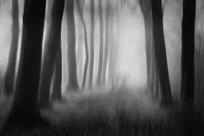 Lee, van Hilda: the unknown path