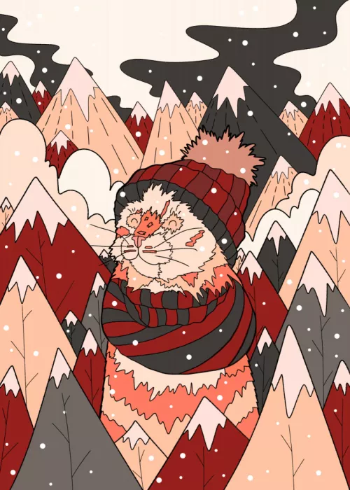 Wade, Stephen: Cozy winter cat