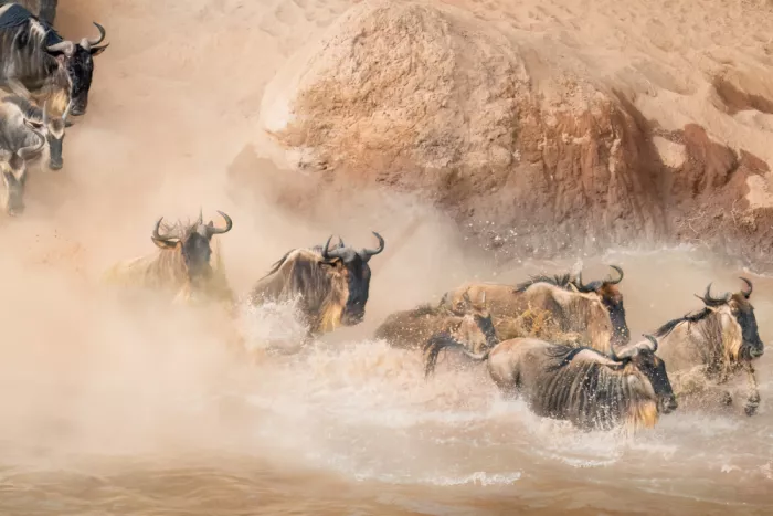 Fischer, Jie: Crossing the river