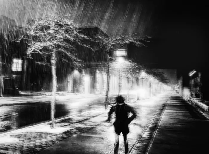 Li, Bruce: Lone Night Walk in the First Snow