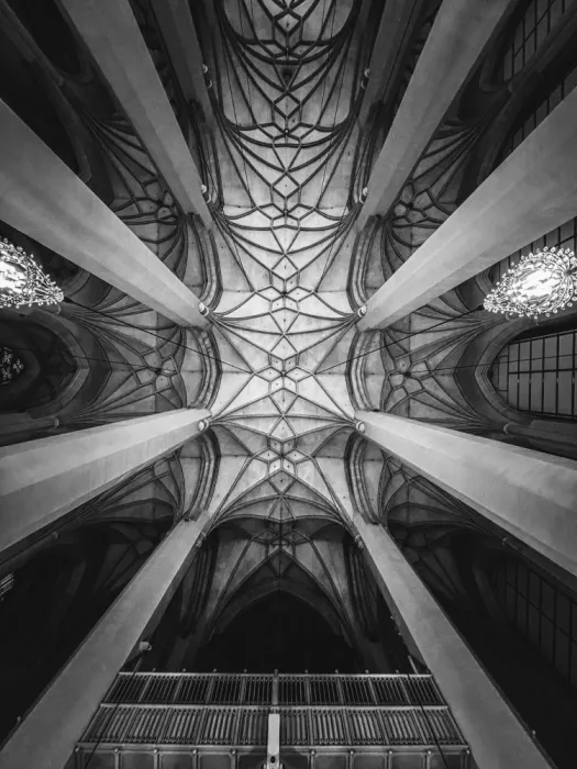 Rabeev, Dmitrii: 