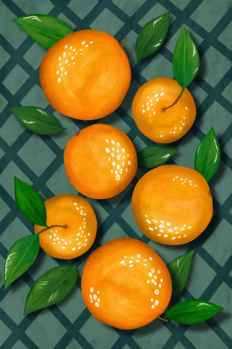 EMELIEmaria: Oranges