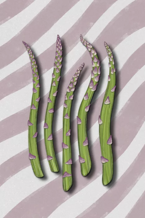 EMELIEmaria: Asparagus