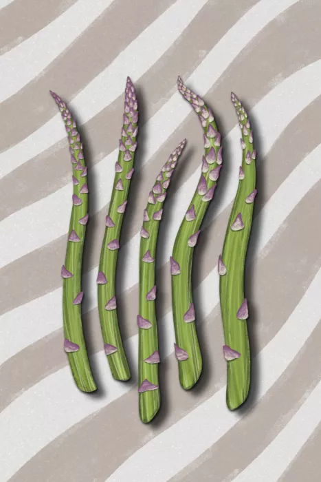 EMELIEmaria: Asparagus