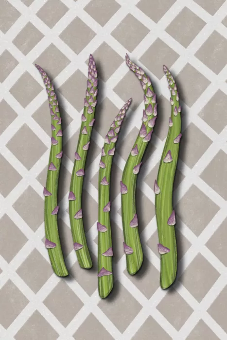 EMELIEmaria: Asparagus