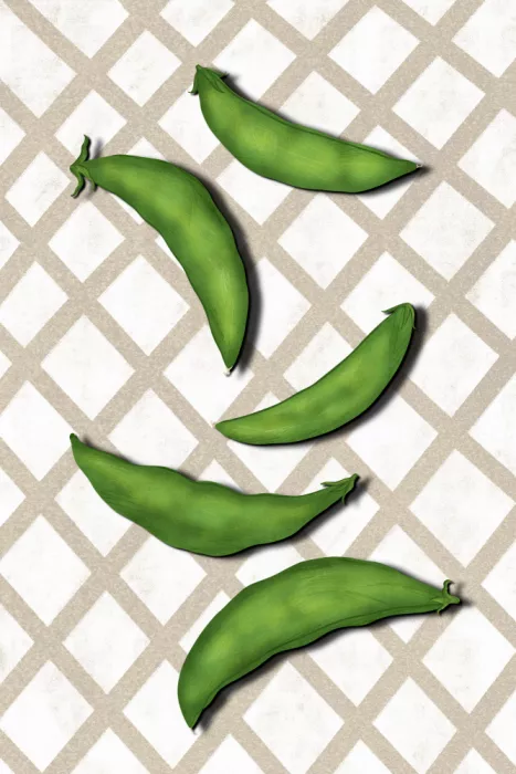 EMELIEmaria: Sugar snap peas