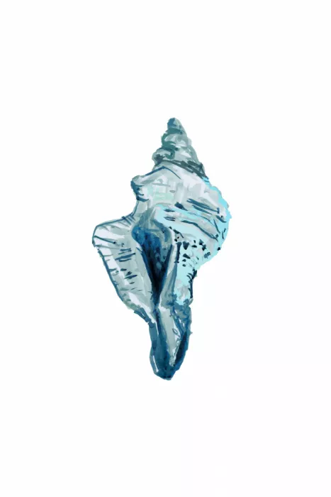cartissi: Coquillage bleu sur fond blanc n°4